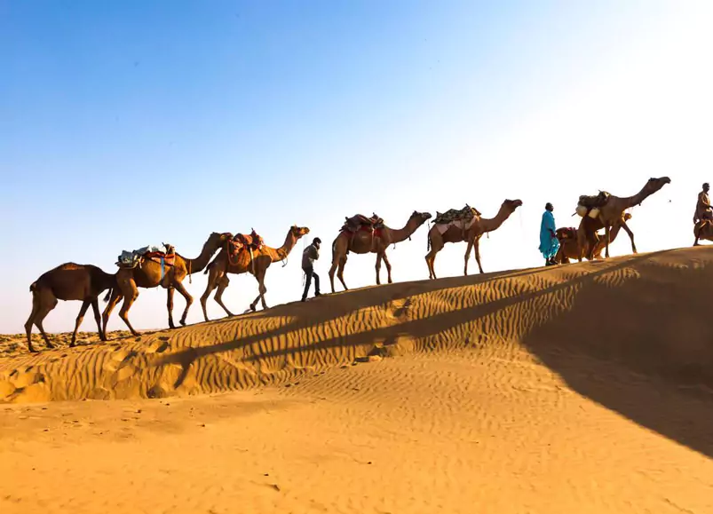 Jaisalmer