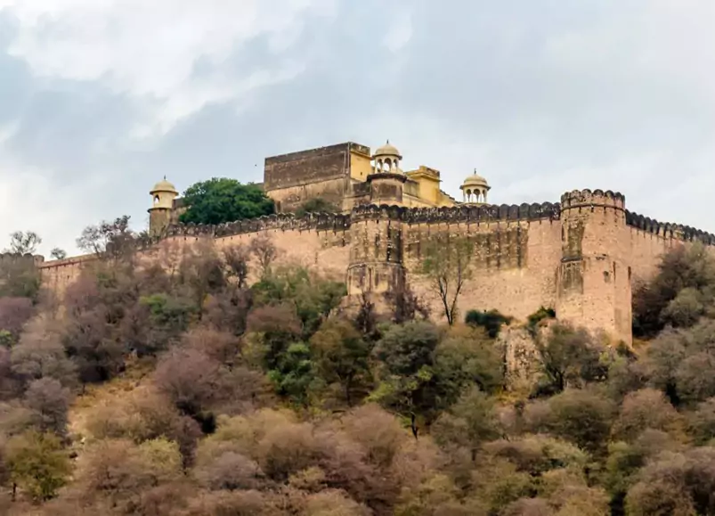 Jaipur Sariska One Day Trip