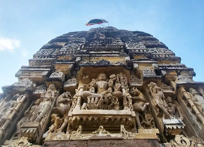 Jaipur Sariska One Day Trip