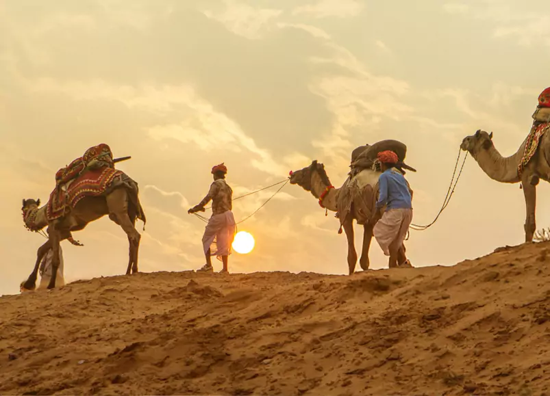 Rajasthan Desert Safari Tour