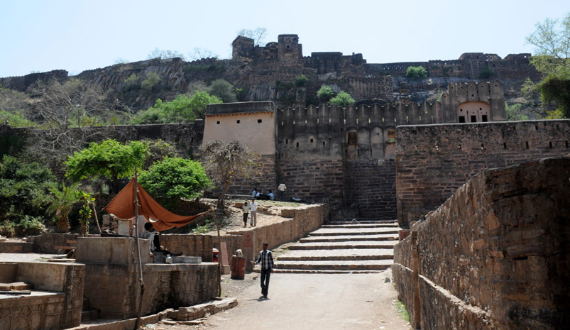 Ranthambore