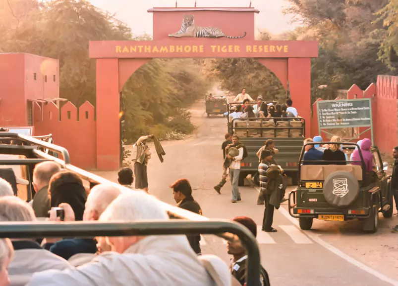 Jaipur Ranthambore Same Day Tour