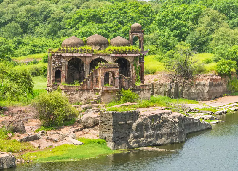 Jaipur Ranthambore Same Day Tour