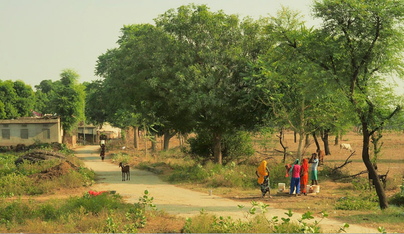 Ranthambore