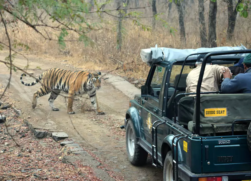 Jaipur Sariska One Day Trip