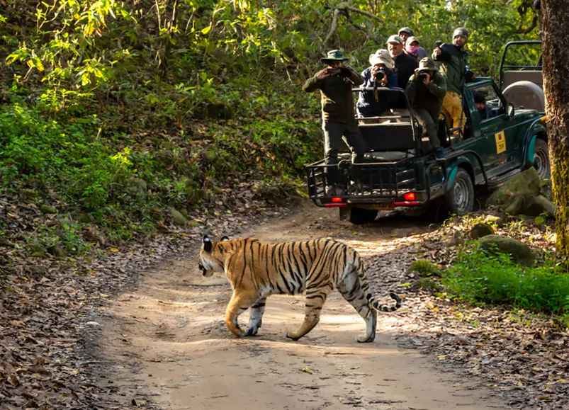Rajasthan Wildlife Tour