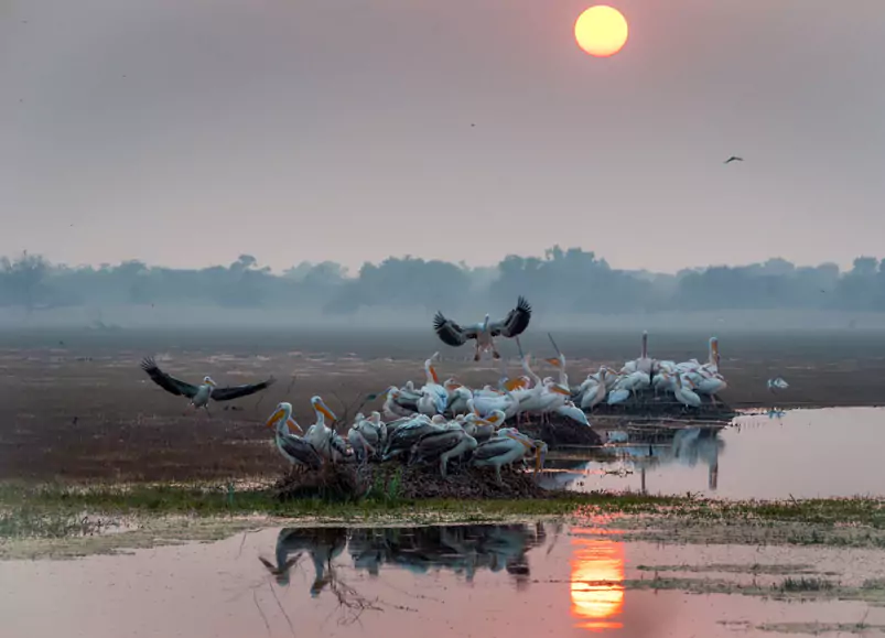 Jaipur to Bharatpur Day Trip