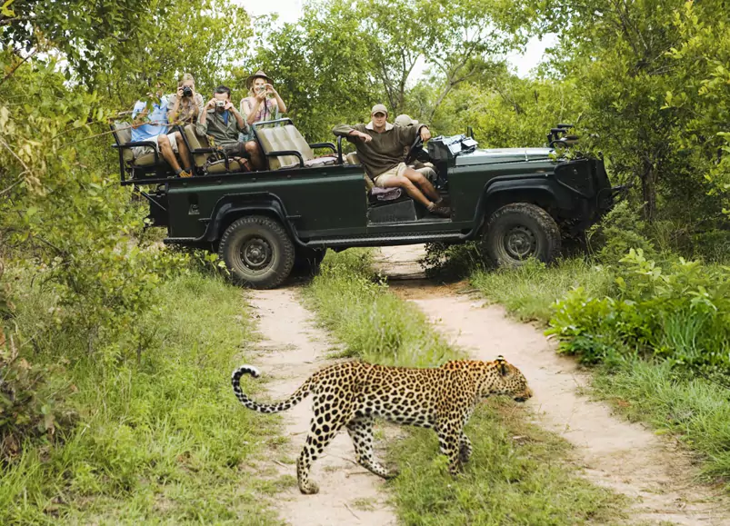 Jhalana Leopard Safari Trip