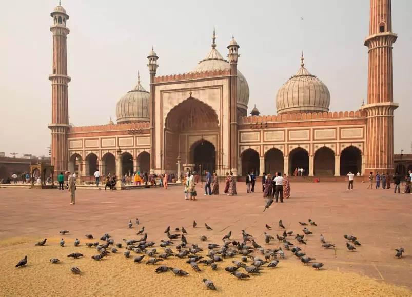 Rajasthan Village Tour