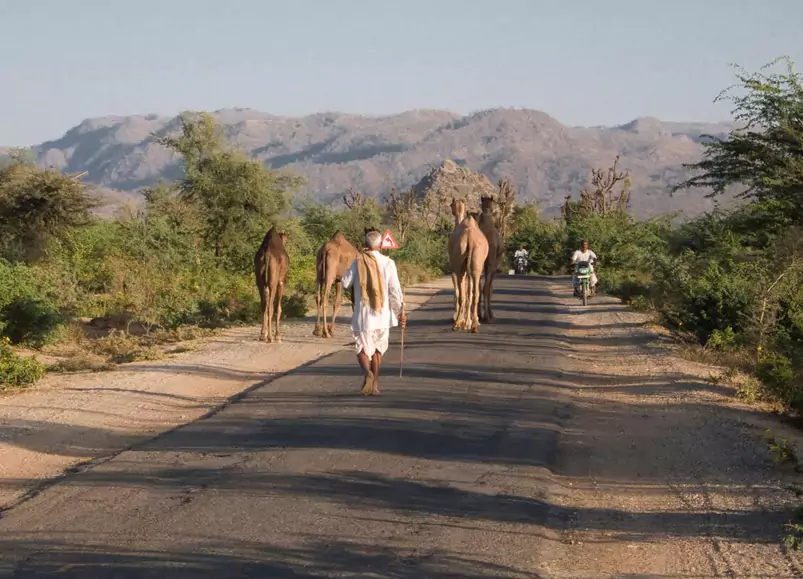 Rajasthan Village Tour